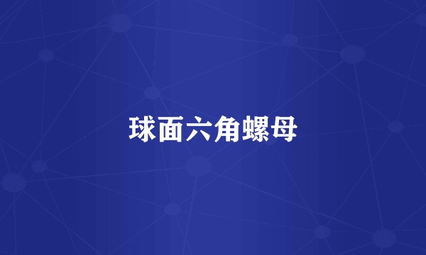 球面六角螺母