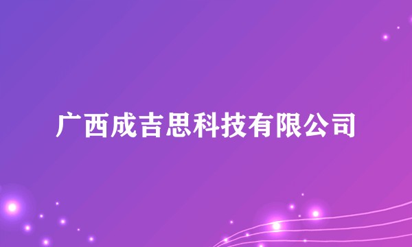 广西成吉思科技有限公司