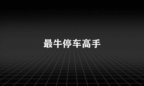 最牛停车高手
