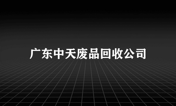 广东中天废品回收公司