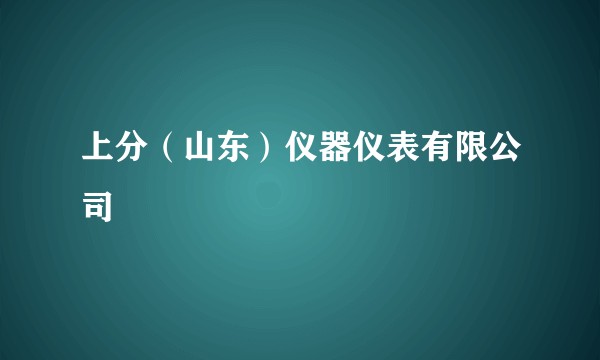 上分（山东）仪器仪表有限公司