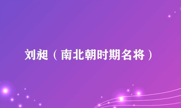 刘昶（南北朝时期名将）