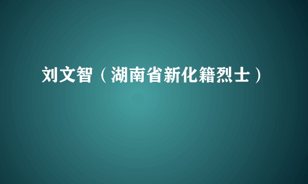 刘文智（湖南省新化籍烈士）