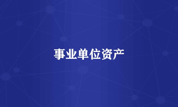 事业单位资产
