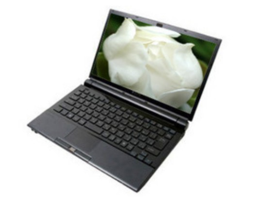 索尼 VGN-TZ(P54000003)