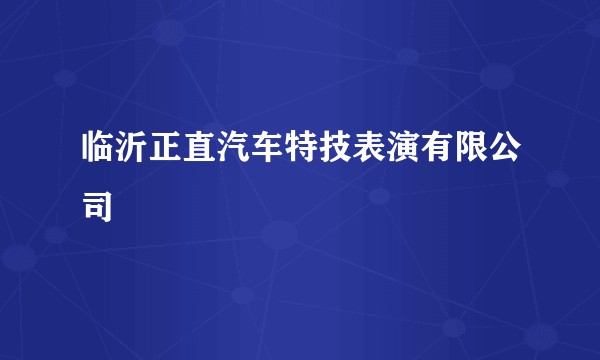 临沂正直汽车特技表演有限公司