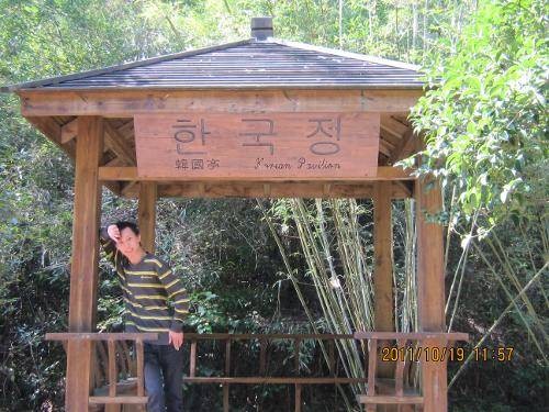 灵魂摆渡（《灵魂摆渡》系列的诗歌）