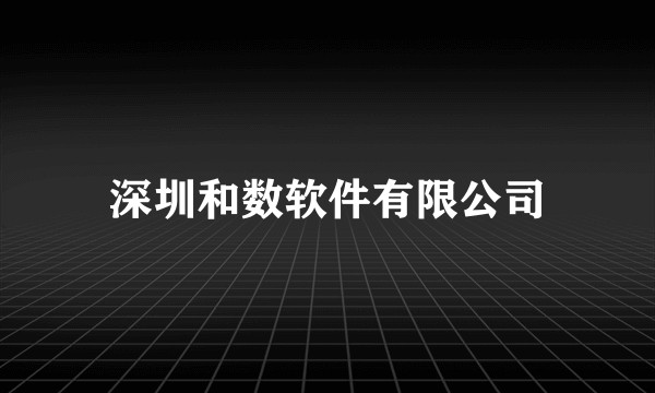 深圳和数软件有限公司