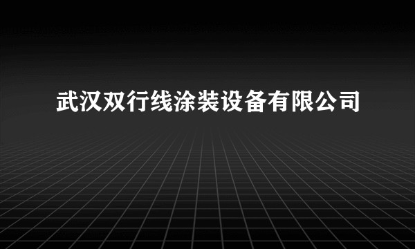 武汉双行线涂装设备有限公司