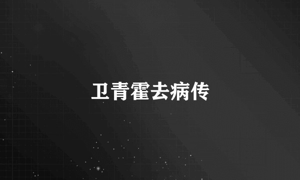 卫青霍去病传