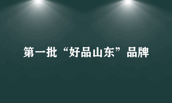 第一批“好品山东”品牌
