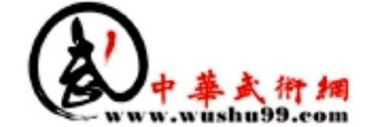 中华武术网