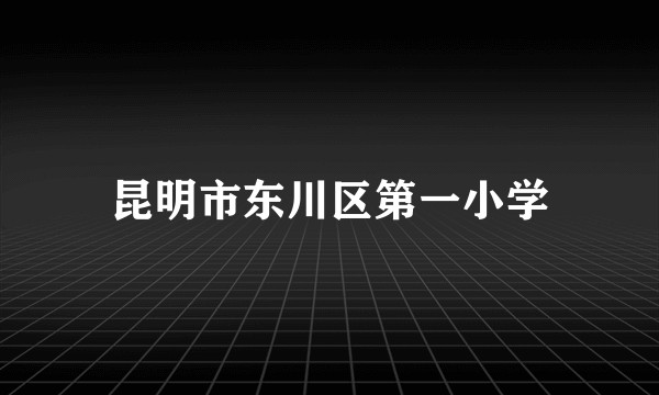 昆明市东川区第一小学