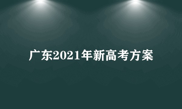 广东2021年新高考方案