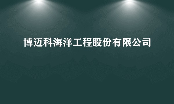 博迈科海洋工程股份有限公司