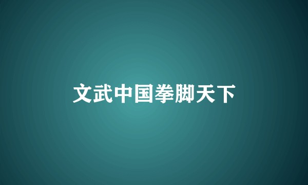 文武中国拳脚天下