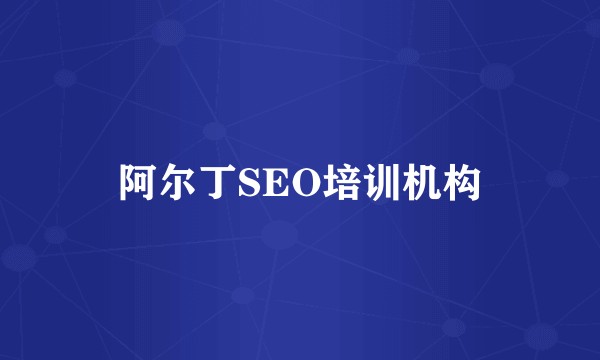 阿尔丁SEO培训机构