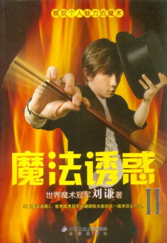 魔法诱惑2