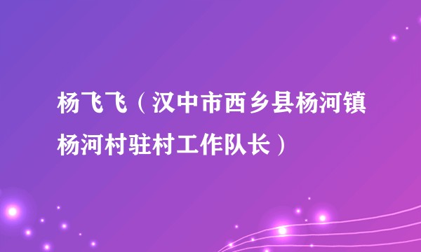 杨飞飞（汉中市西乡县杨河镇杨河村驻村工作队长）