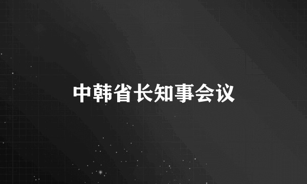 中韩省长知事会议