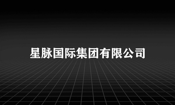 星脉国际集团有限公司