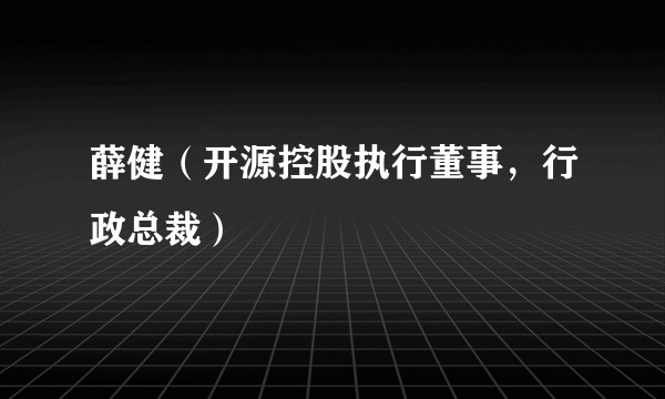 薛健（开源控股执行董事，行政总裁）