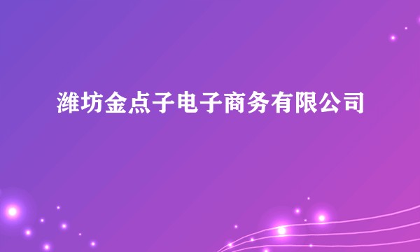 潍坊金点子电子商务有限公司
