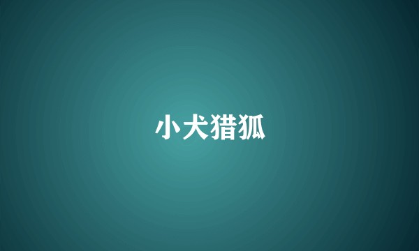 小犬猎狐