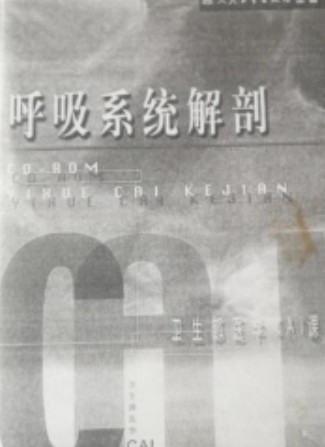 呼吸系统解剖