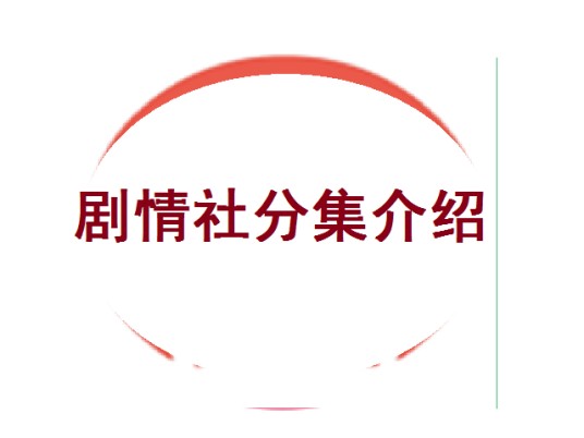 剧情社分集介绍