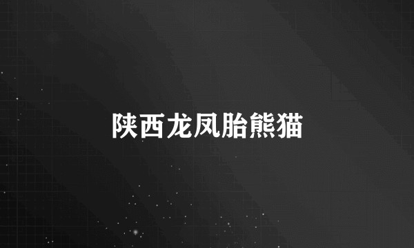 陕西龙凤胎熊猫