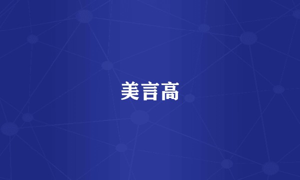 美言高