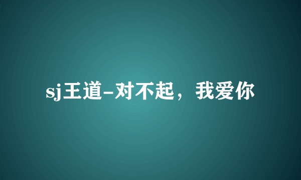 sj王道-对不起，我爱你