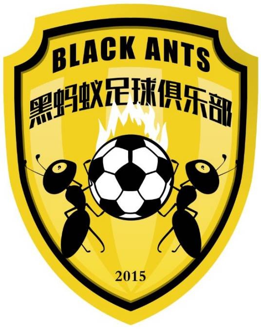 株洲市黑蚂蚁足球俱乐部