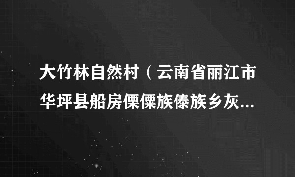 大竹林自然村（云南省丽江市华坪县船房傈僳族傣族乡灰窝村辖自然村）