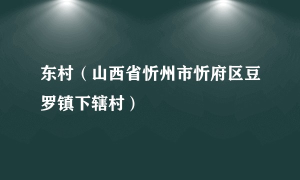 东村（山西省忻州市忻府区豆罗镇下辖村）