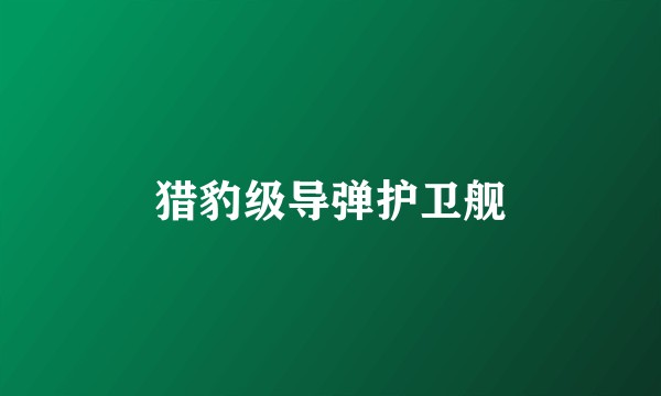 猎豹级导弹护卫舰