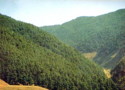 钟灵山国家森林公园