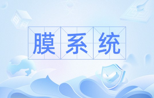 膜系统