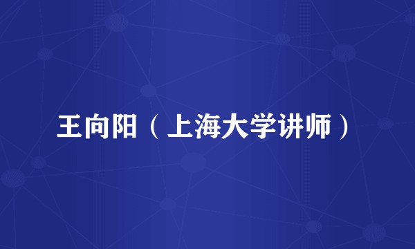 王向阳（上海大学讲师）