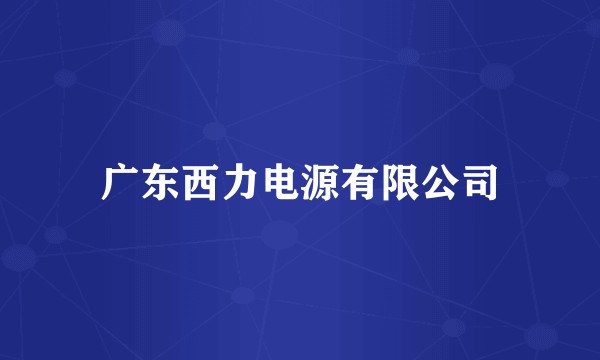 广东西力电源有限公司
