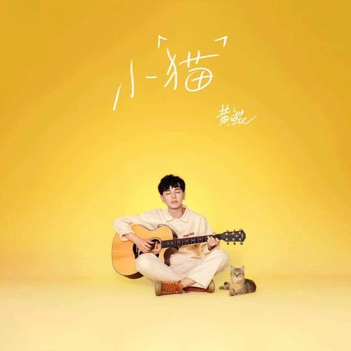 小猫（黄鲲演唱歌曲）