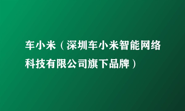 车小米（深圳车小米智能网络科技有限公司旗下品牌）