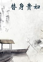 替身贵妇