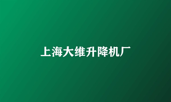 上海大维升降机厂