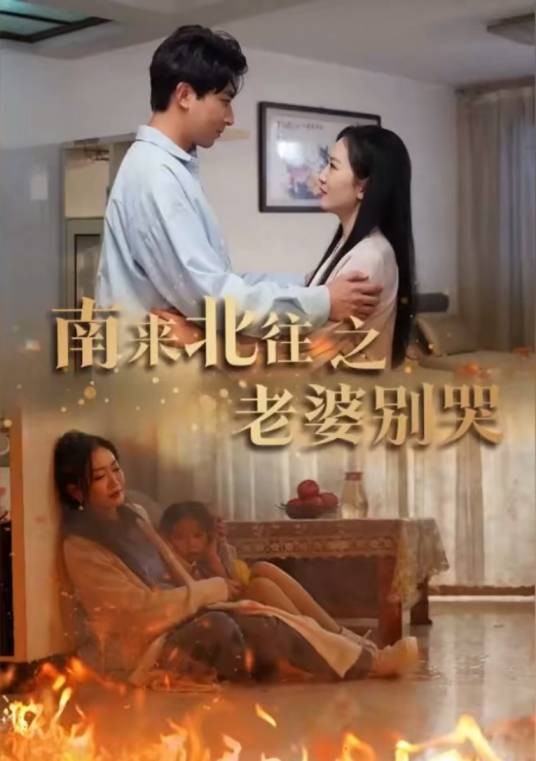 南来北往之老婆别哭