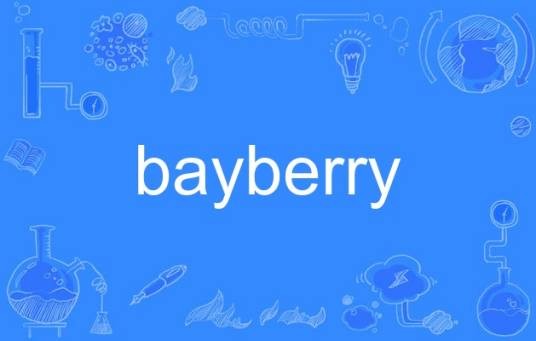 bayberry