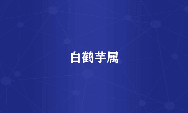 白鹤芋属