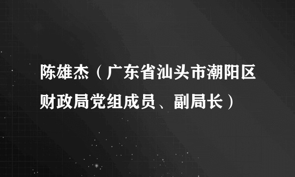 陈雄杰（广东省汕头市潮阳区财政局党组成员、副局长）