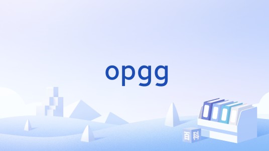 opgg
